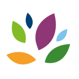 Feuilles page projets