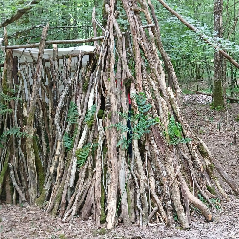 Arbre forêt, une des activités proposées par l'École par d'autres activités en pleine air.